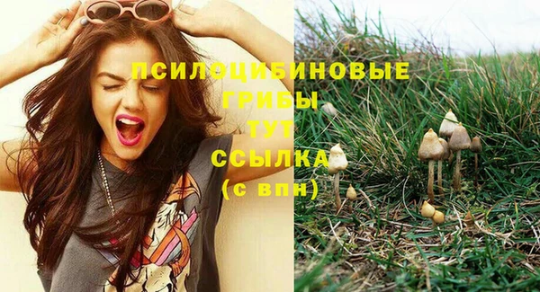 каннабис Баксан