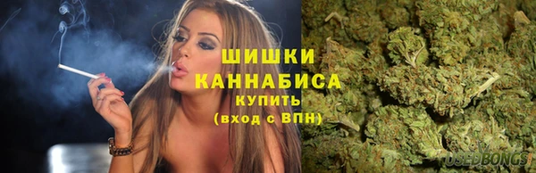 стаф Балахна
