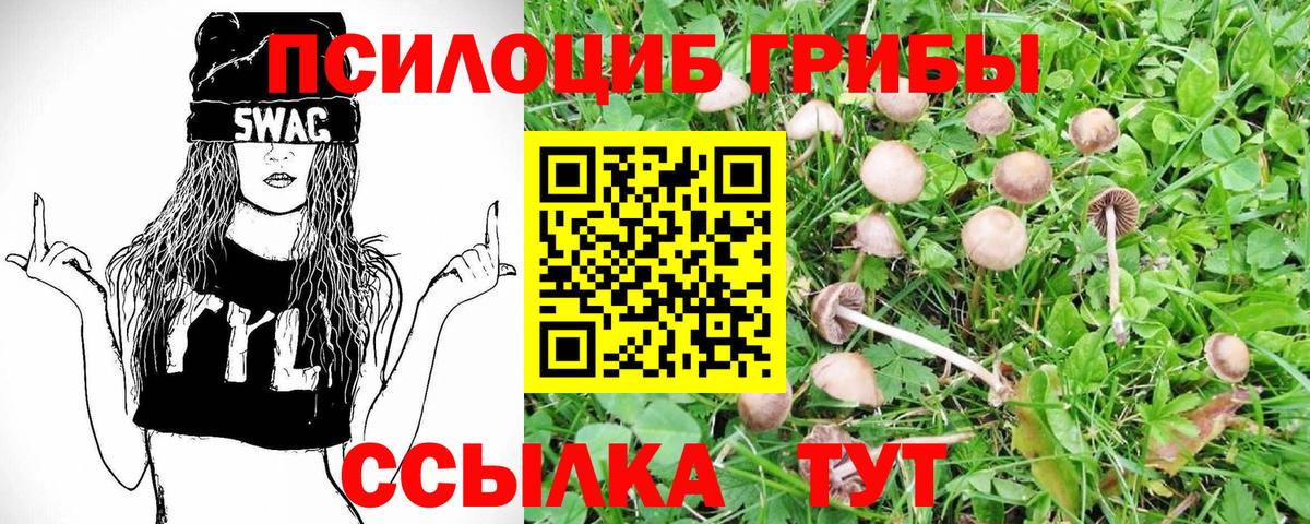 Галлюциногенные грибы Cubensis  Псилоцибиновые грибы мухоморы  даркнет сайт  Вход с VPN  Вольск 