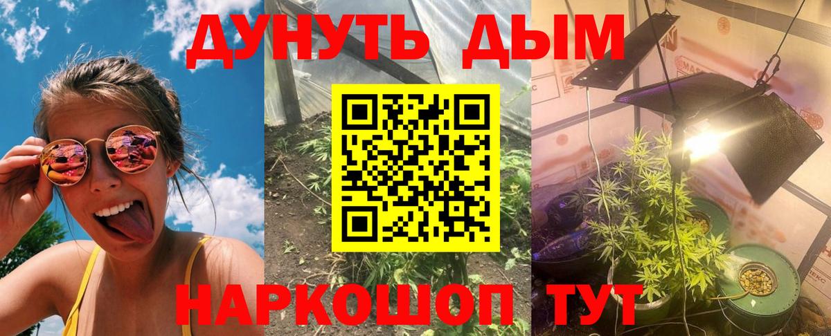 Бошки Шишки сатива  Вход с VPN  Каннабис LSD WEED  Вольск 